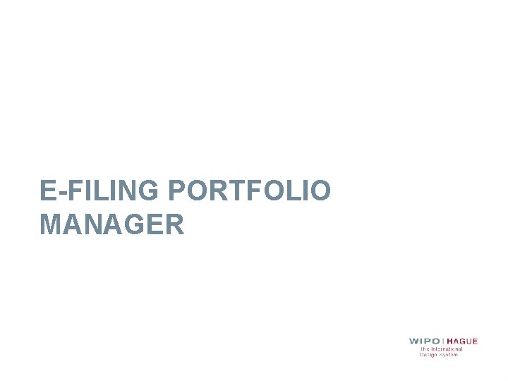 E-FILING PORTFOLIO MANAGER 