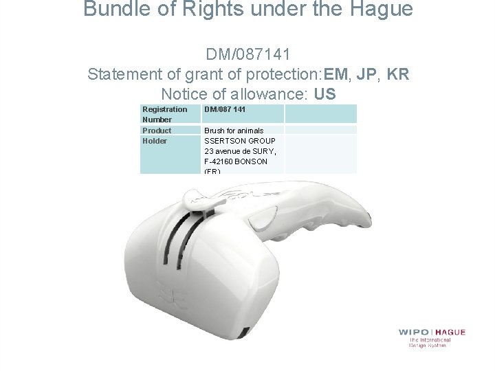 Bundle of Rights under the Hague DM/087141 Statement of grant of protection: EM, JP,
