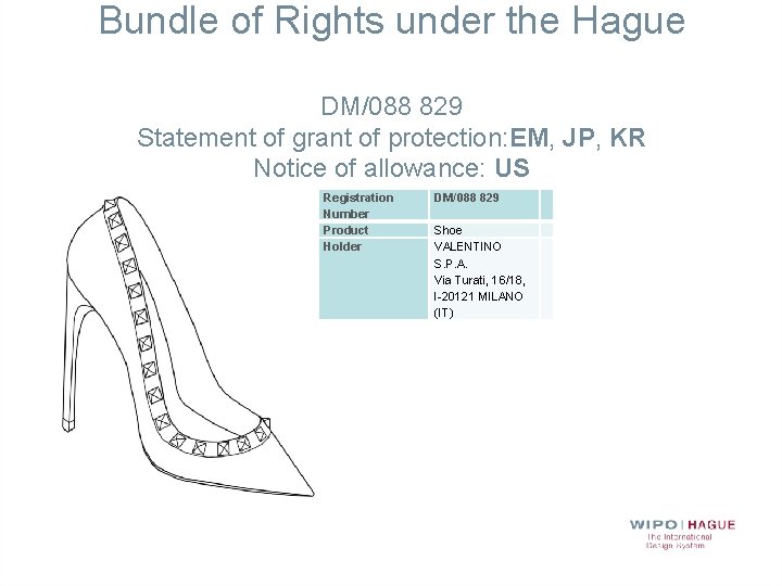 Bundle of Rights under the Hague DM/088 829 Statement of grant of protection: EM,