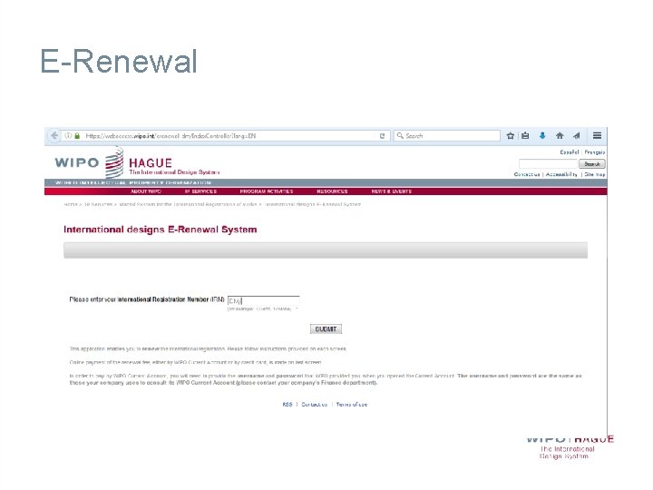 E-Renewal 