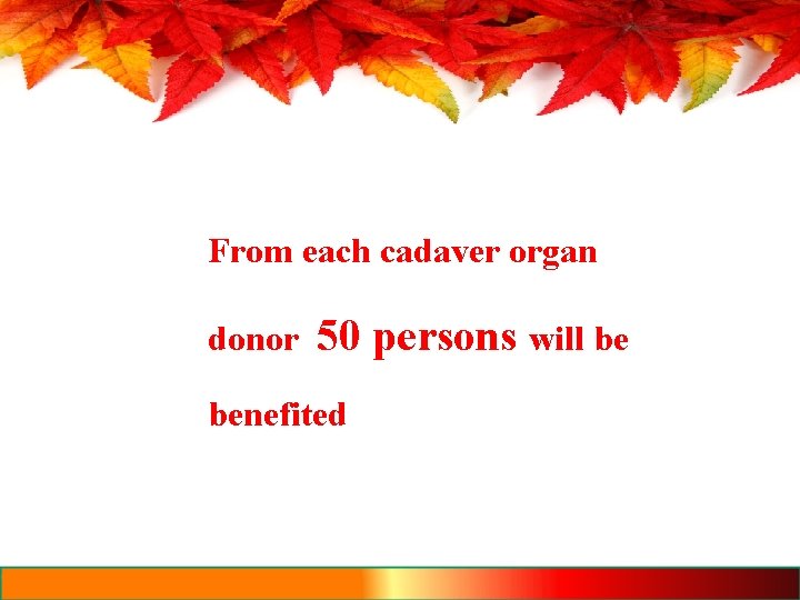 From each cadaver organ donor 50 persons will be benefited 