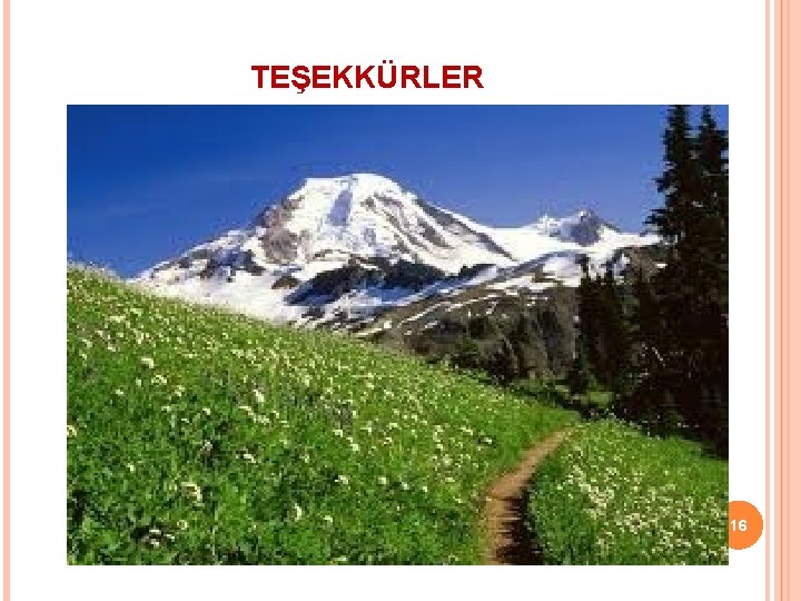 TEŞEKKÜRLER 16 