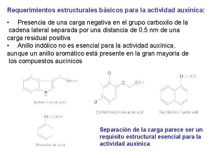 Requerimientos estructurales básicos para la actividad auxínica: • Presencia de una carga negativa en