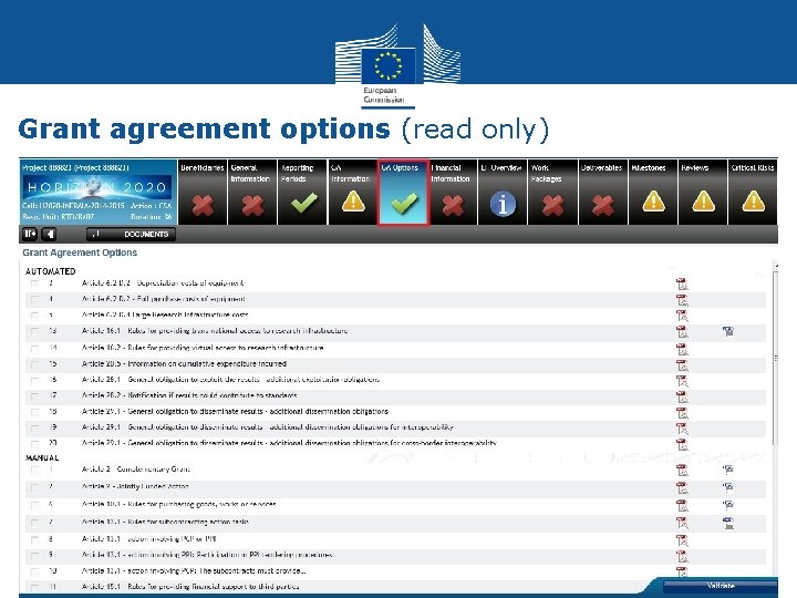 Grant agreement options (read only) 