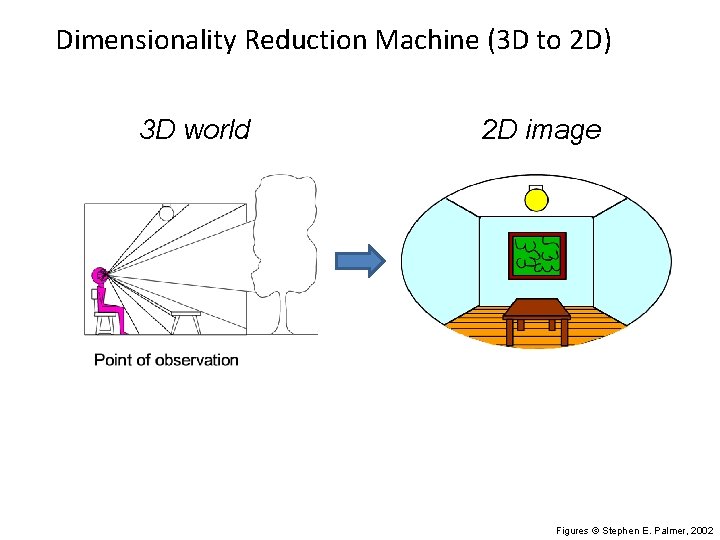 Dimensionality Reduction Machine (3 D to 2 D) 3 D world 2 D image