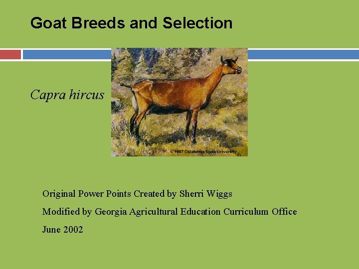 Goat Breeds and Selection Capra hircus Original Power Points Created by Sherri Wiggs Modified