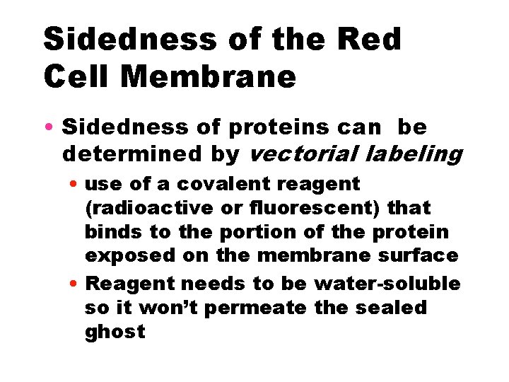 Sidedness of the Red Cell Membrane • Sidedness of proteins can be determined by