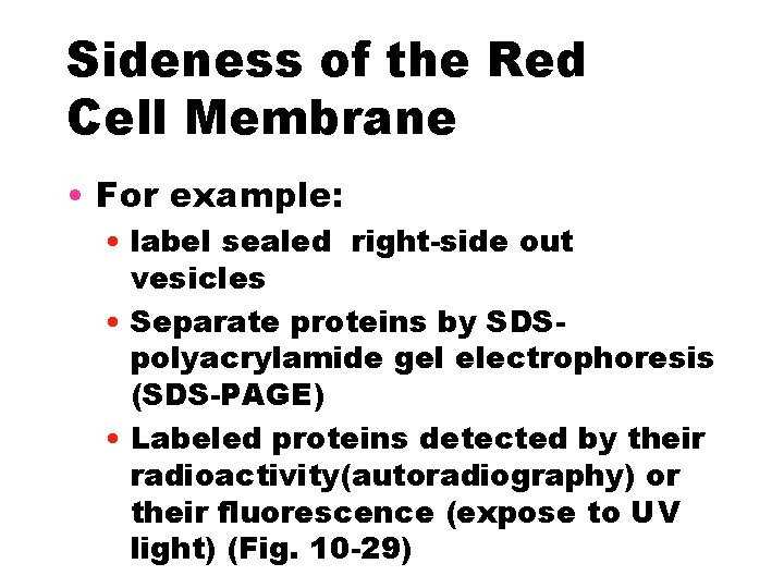 Sideness of the Red Cell Membrane • For example: • label sealed right-side out