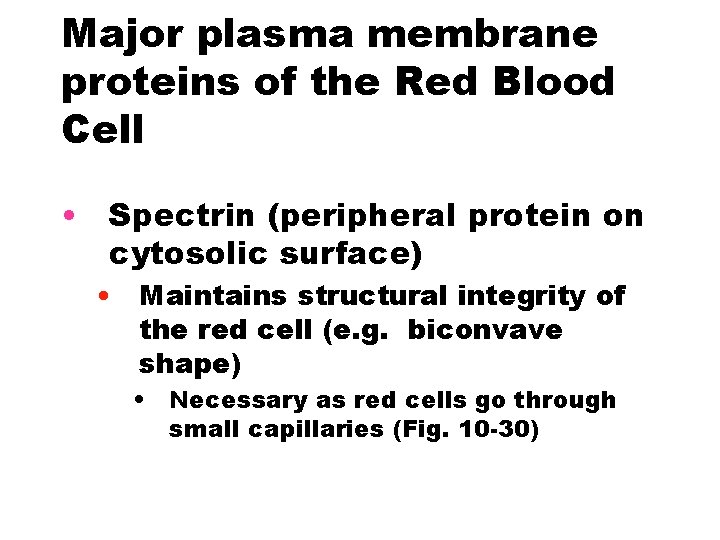 Major plasma membrane proteins of the Red Blood Cell • Spectrin (peripheral protein on