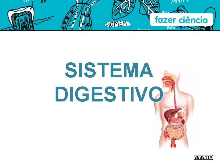 SISTEMA DIGESTIVO 