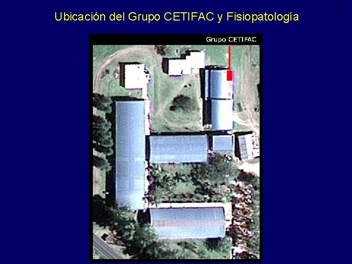 Ubicación del Grupo CETIFAC y Fisiopatología 53 