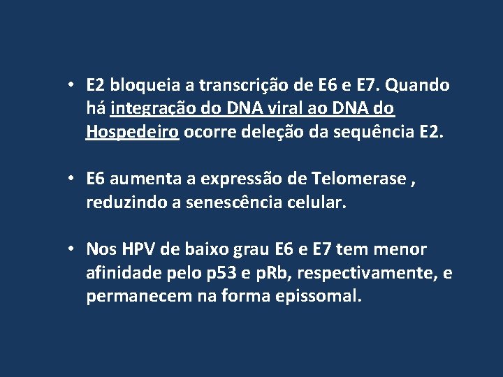  • E 2 bloqueia a transcrição de E 6 e E 7. Quando