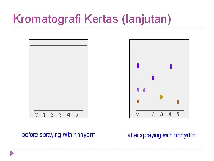 Kromatografi Kertas (lanjutan) Kromatografi Kertas (lanjutan)
