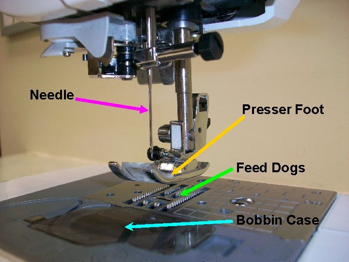 Needle Presser Foot Feed Dogs Bobbin Case 