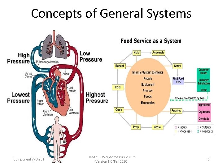 Concepts of General Systems Component 7/Unit 1 Health IT Workforce Curriculum Version 1. 0/Fall