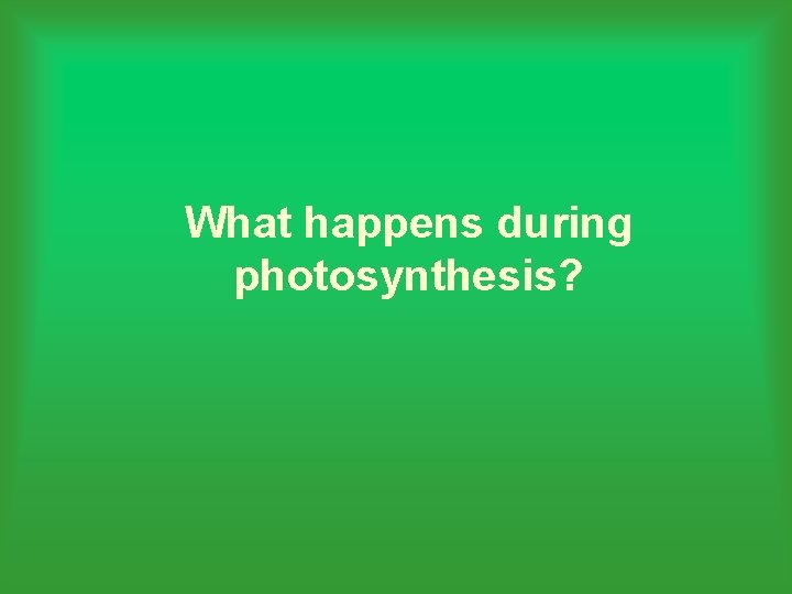 What happens during photosynthesis? 