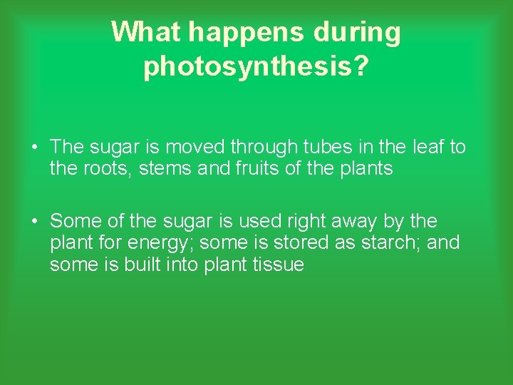 What happens during photosynthesis? • The sugar is moved through tubes in the leaf