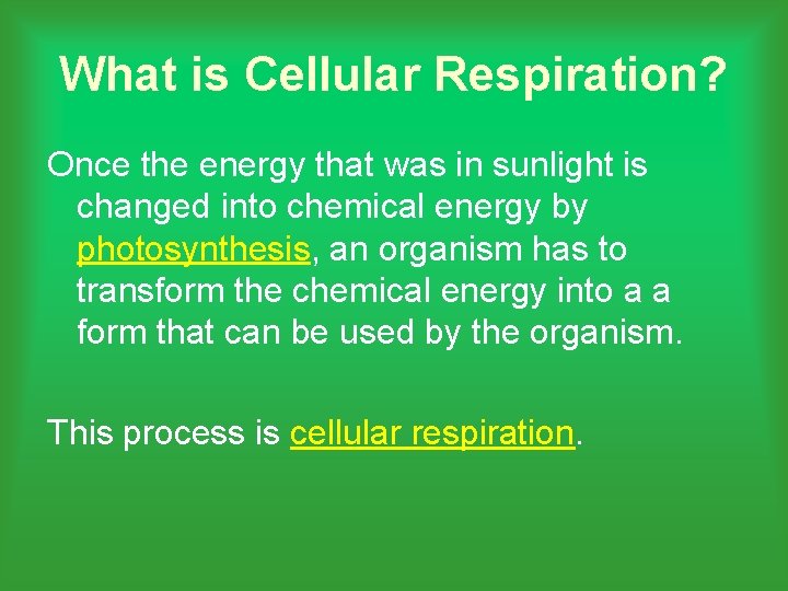 What is Cellular Respiration? Once the energy that was in sunlight is changed into