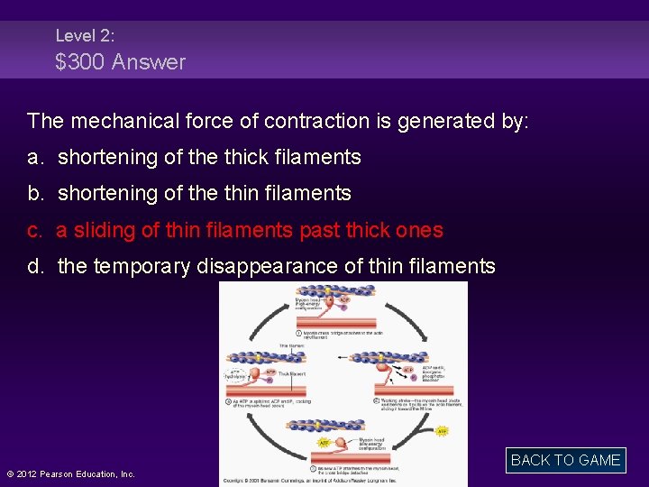 Level 2: $300 Answer The mechanical force of contraction is generated by: a. shortening