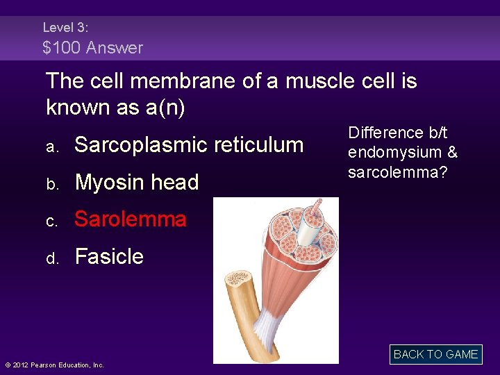 Level 3: $100 Answer The cell membrane of a muscle cell is known as