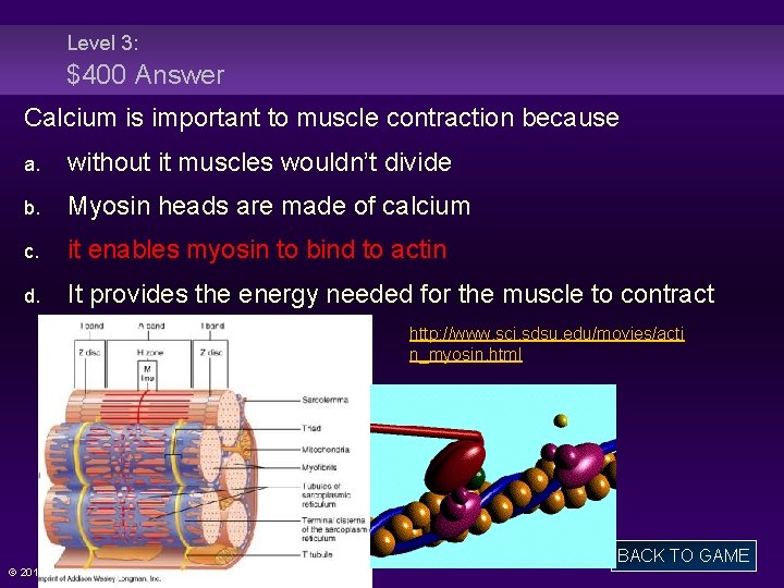 Level 3: $400 Answer Calcium is important to muscle contraction because a. without it