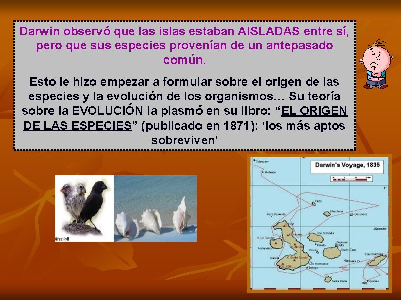 Darwin observó que las islas estaban AISLADAS entre sí, pero que sus especies provenían