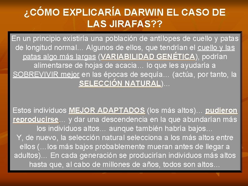 ¿CÓMO EXPLICARÍA DARWIN EL CASO DE LAS JIRAFAS? ? En un principio existiría una