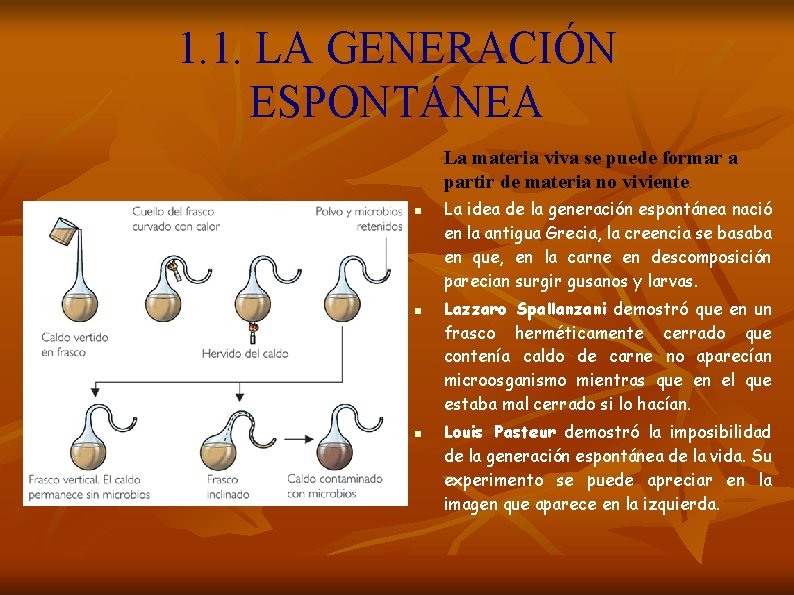 1. 1. LA GENERACIÓN ESPONTÁNEA La materia viva se puede formar a partir de