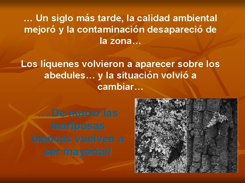 … Un siglo más tarde, la calidad ambiental mejoró y la contaminación desapareció de