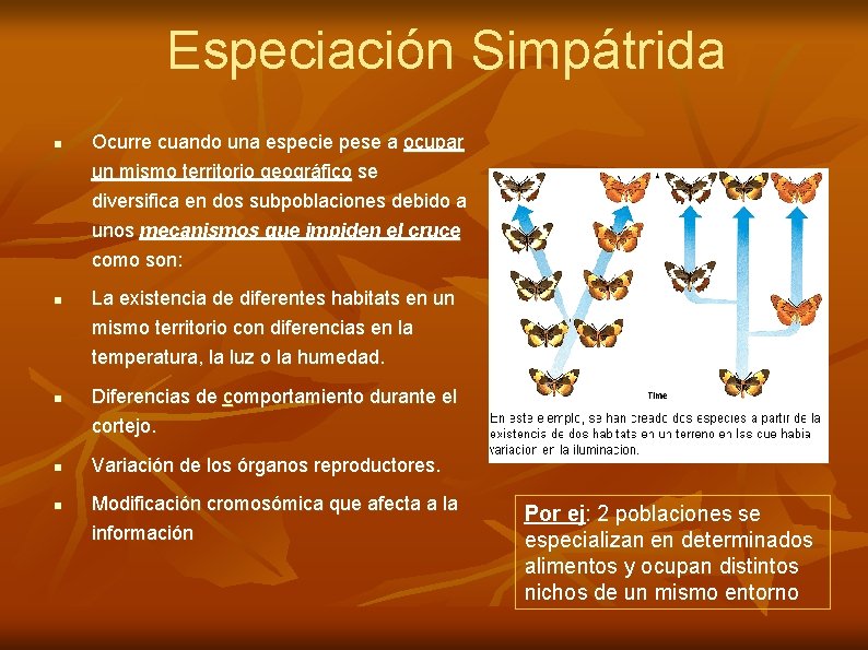 Especiación Simpátrida n Ocurre cuando una especie pese a ocupar un mismo territorio geográfico