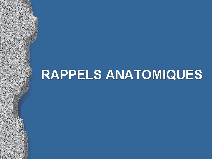 RAPPELS ANATOMIQUES 