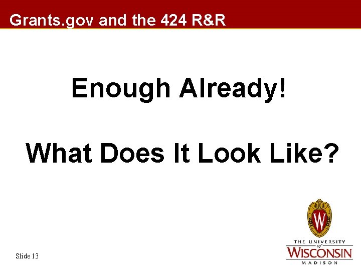 Grants. gov and the 424 R&R Enough Already! What Does It Look Like? Slide