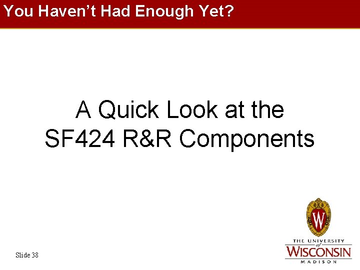 You Haven’t Had Enough Yet? A Quick Look at the SF 424 R&R Components