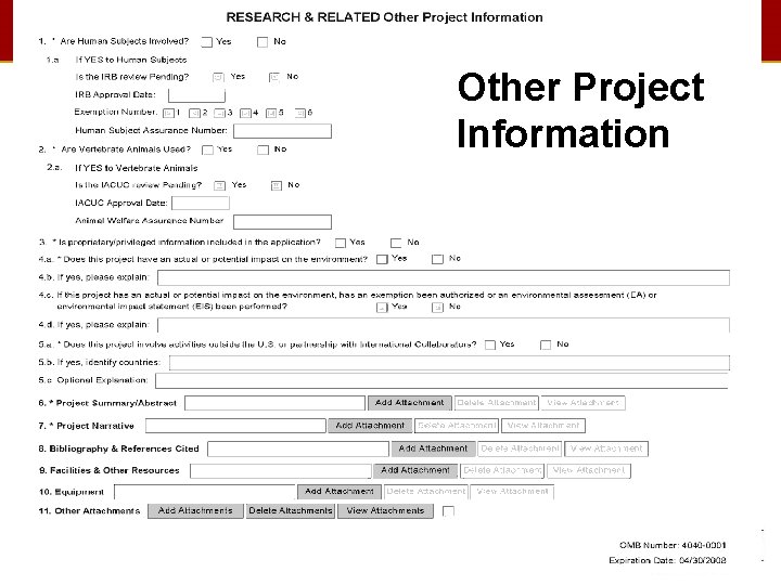 Other Project Information Slide 43 