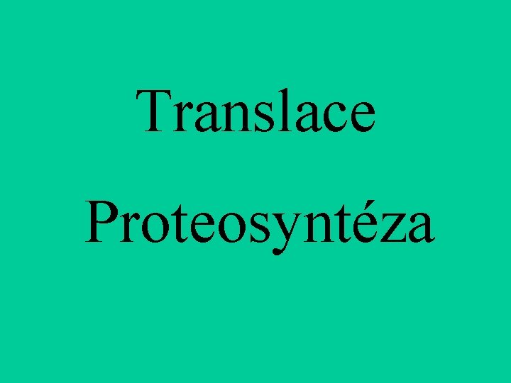 Translace Proteosyntéza 