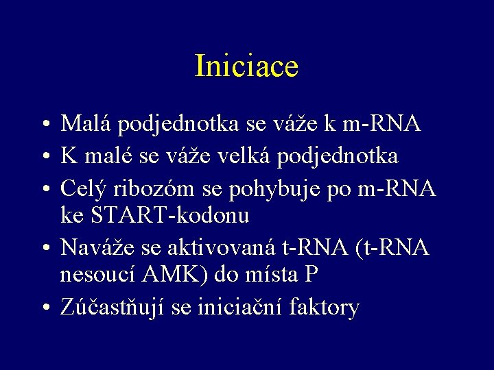 Iniciace • Malá podjednotka se váže k m-RNA • K malé se váže velká