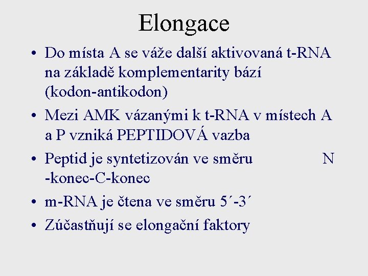 Elongace • Do místa A se váže další aktivovaná t-RNA na základě komplementarity bází