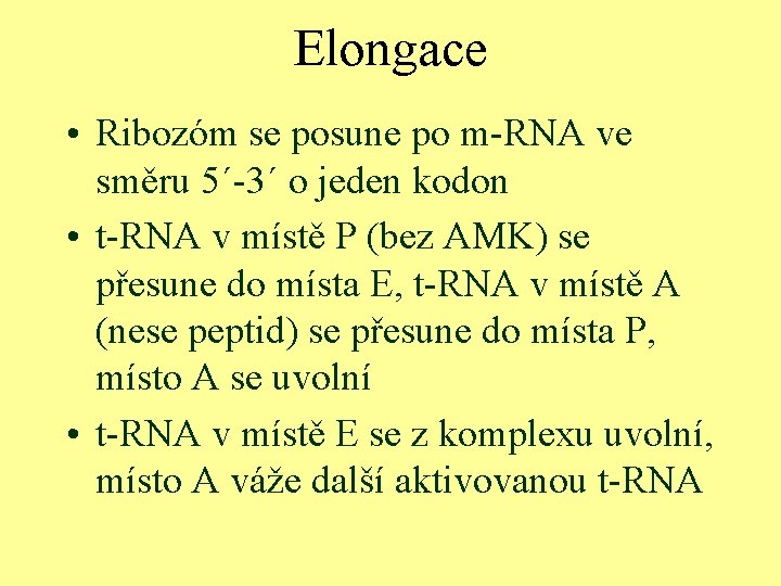 Elongace • Ribozóm se posune po m-RNA ve směru 5´-3´ o jeden kodon •