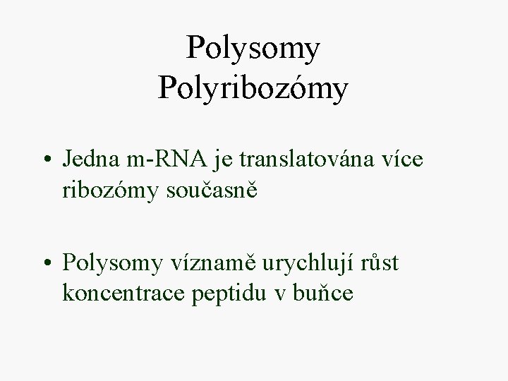 Polysomy Polyribozómy • Jedna m-RNA je translatována více ribozómy současně • Polysomy víznamě urychlují