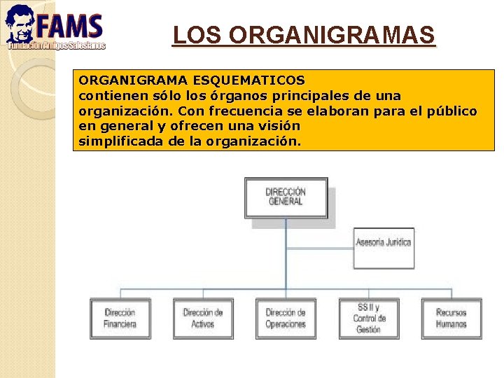 LOS ORGANIGRAMA ESQUEMATICOS contienen sólo los órganos principales de una organización. Con frecuencia se