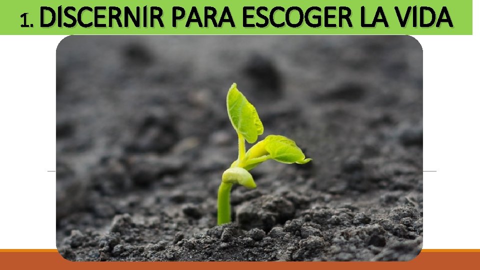 1. DISCERNIR PARA ESCOGER LA VIDA 