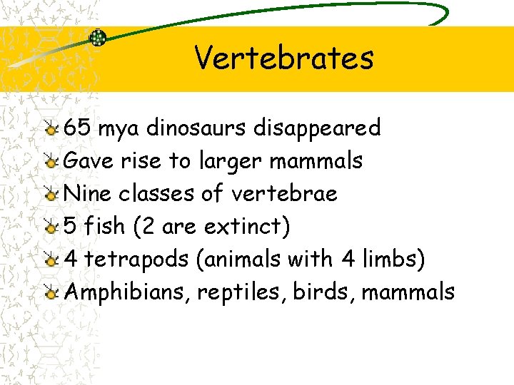 Vertebrates 65 mya dinosaurs disappeared Gave rise to larger mammals Nine classes of vertebrae Vertebrates 65 mya dinosaurs disappeared Gave rise to larger mammals Nine classes of vertebrae