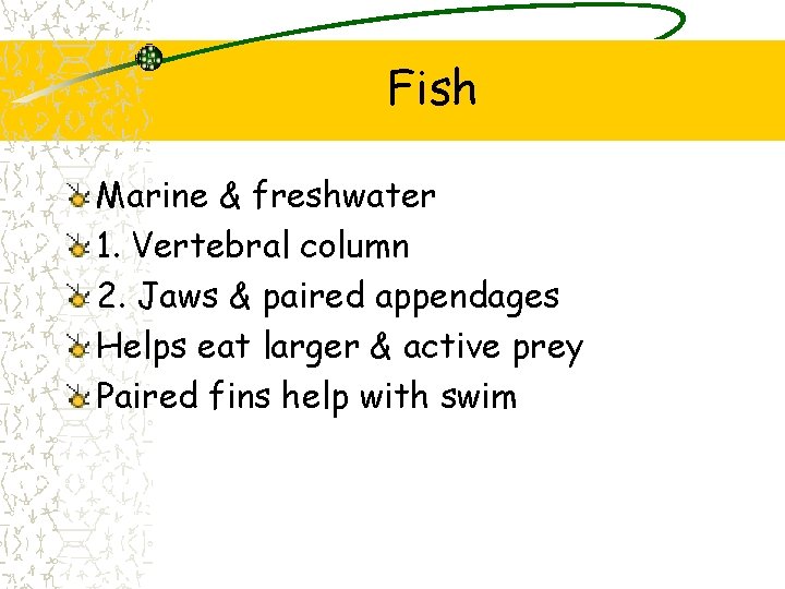 Fish Marine & freshwater 1. Vertebral column 2. Jaws & paired appendages Helps eat Fish Marine & freshwater 1. Vertebral column 2. Jaws & paired appendages Helps eat