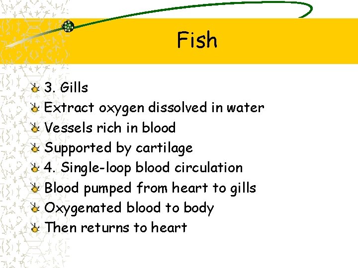 Fish 3. Gills Extract oxygen dissolved in water Vessels rich in blood Supported by Fish 3. Gills Extract oxygen dissolved in water Vessels rich in blood Supported by