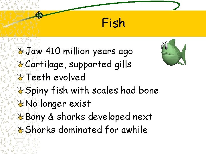Fish Jaw 410 million years ago Cartilage, supported gills Teeth evolved Spiny fish with Fish Jaw 410 million years ago Cartilage, supported gills Teeth evolved Spiny fish with