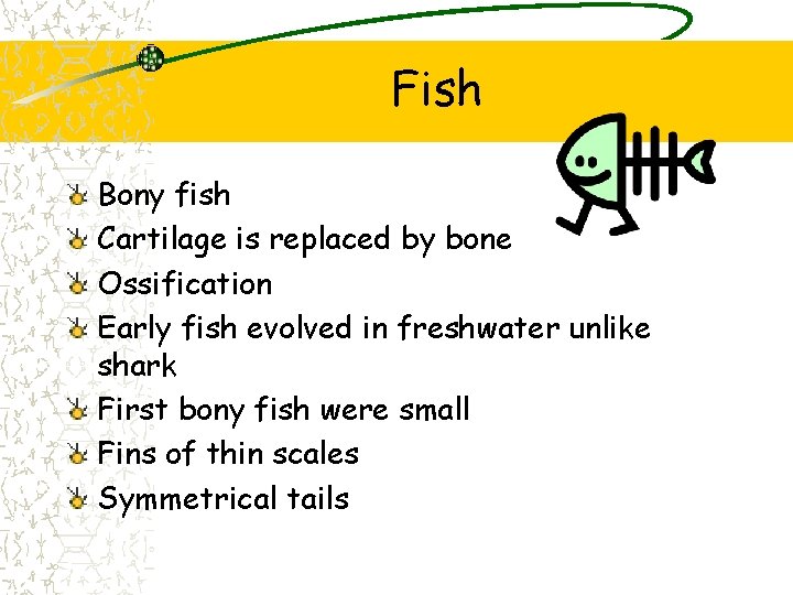 Fish Bony fish Cartilage is replaced by bone Ossification Early fish evolved in freshwater Fish Bony fish Cartilage is replaced by bone Ossification Early fish evolved in freshwater