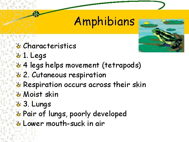 Amphibians Characteristics 1. Legs 4 legs helps movement (tetrapods) 2. Cutaneous respiration Respiration occurs Amphibians Characteristics 1. Legs 4 legs helps movement (tetrapods) 2. Cutaneous respiration Respiration occurs