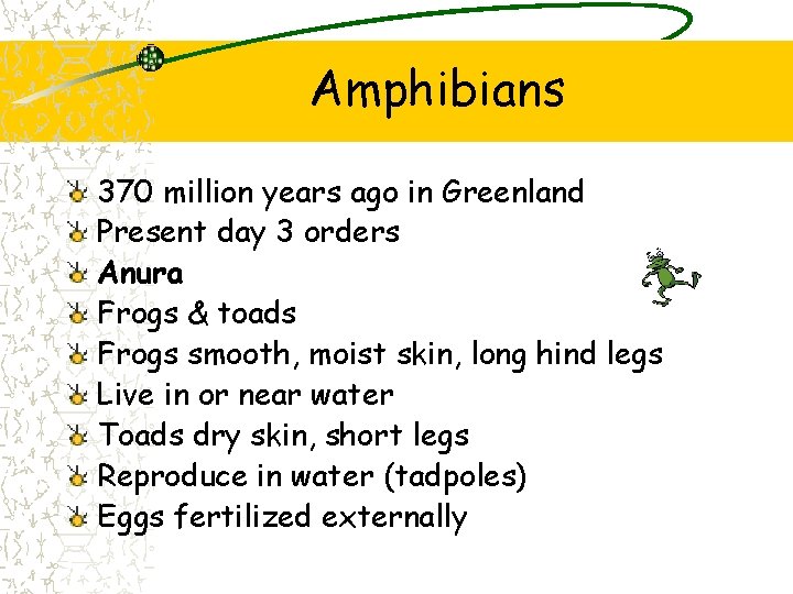 Amphibians 370 million years ago in Greenland Present day 3 orders Anura Frogs & Amphibians 370 million years ago in Greenland Present day 3 orders Anura Frogs &
