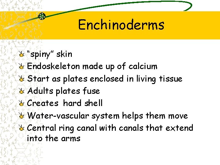 Enchinoderms “spiny” skin Endoskeleton made up of calcium Start as plates enclosed in living Enchinoderms “spiny” skin Endoskeleton made up of calcium Start as plates enclosed in living