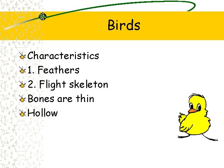 Birds Characteristics 1. Feathers 2. Flight skeleton Bones are thin Hollow Birds Characteristics 1. Feathers 2. Flight skeleton Bones are thin Hollow